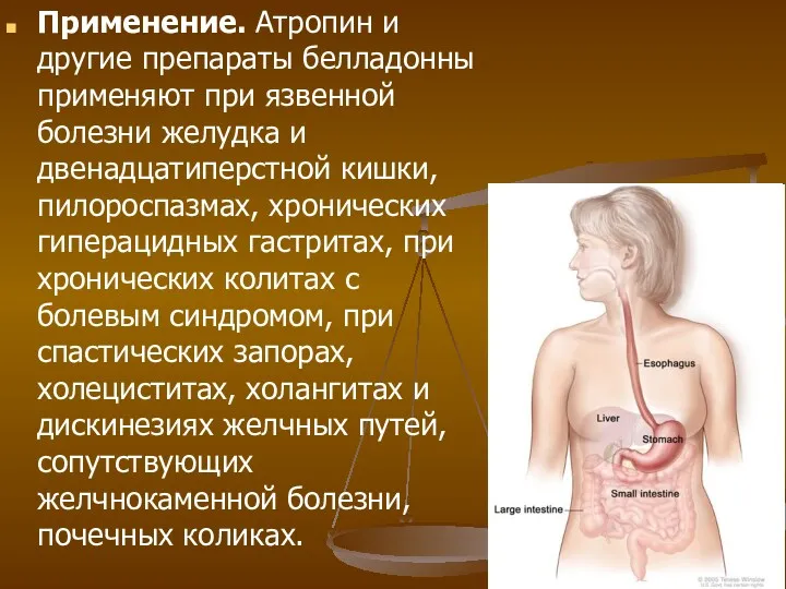 Применение. Атропин и другие препараты белладонны применяют при язвенной болезни