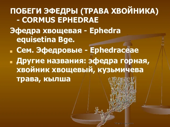 ПОБЕГИ ЭФЕДРЫ (ТРАВА ХВОЙНИКА) - CORMUS EPHEDRAE Эфедра хвощевая - Ephedra equisetina Bge.