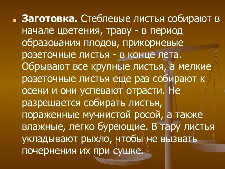 Заготовка. Стеблевые листья собирают в начале цветения, траву - в