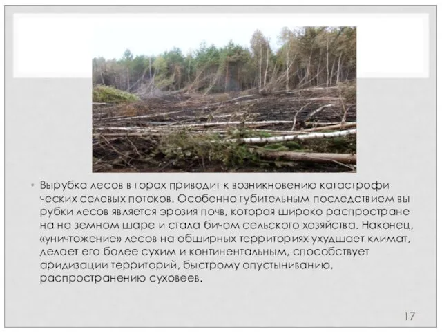 Вырубка лесов в горах приводит к возникновению катастрофи­ческих селевых потоков. Особенно губительным последствием