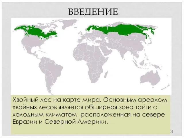Хвойный лес на карте мира. Основным ареалом хвойных лесов является