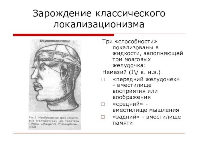 Зарождение классического локализационизма Три «способности» локализованы в жидкости, заполняющей три мозговых желудочка: Немезий