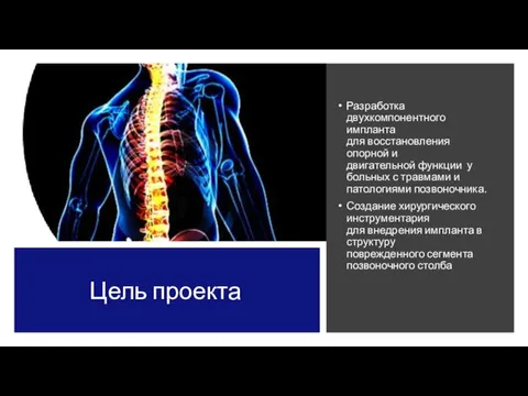 Цель проекта Разработка двухкомпонентного импланта для восстановления опорной и двигательной