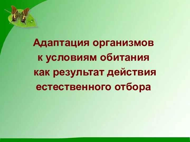 Адаптация организмов к условиям обитания как результат действия естественного отбора