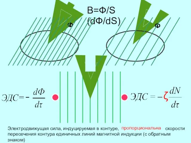 В=Ф/S (dФ/dS) Ф Ф Электродвижущая сила, индуцируемая в контуре, равна