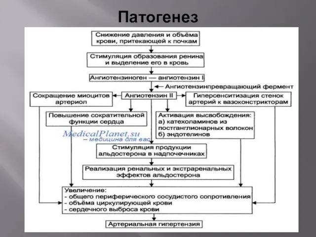 Патогенез