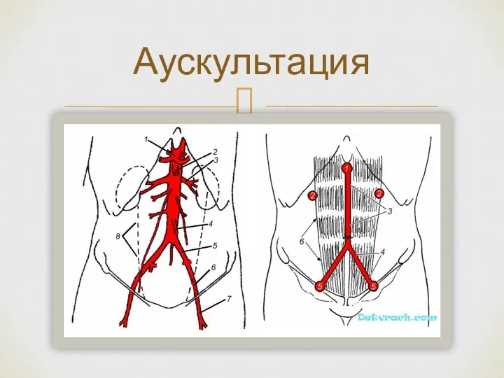 Аускультация