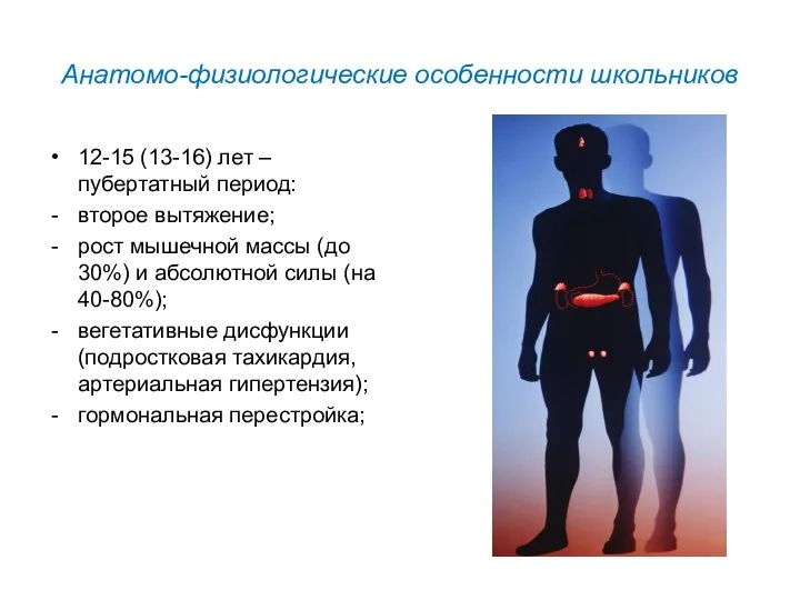 Анатомо-физиологические особенности школьников 12-15 (13-16) лет – пубертатный период: второе вытяжение; рост мышечной