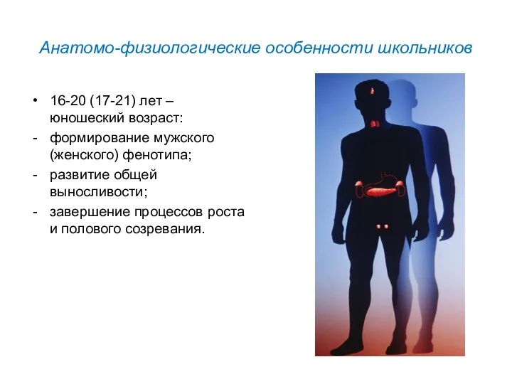 Анатомо-физиологические особенности школьников 16-20 (17-21) лет – юношеский возраст: формирование мужского (женского) фенотипа;