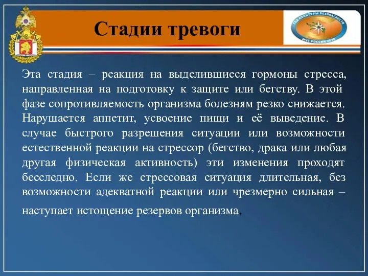 Стадии тревоги Эта стадия – реакция на выделившиеся гормоны стресса, направленная на подготовку