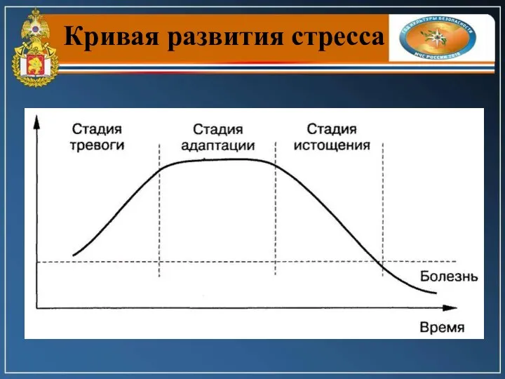 Кривая развития стресса