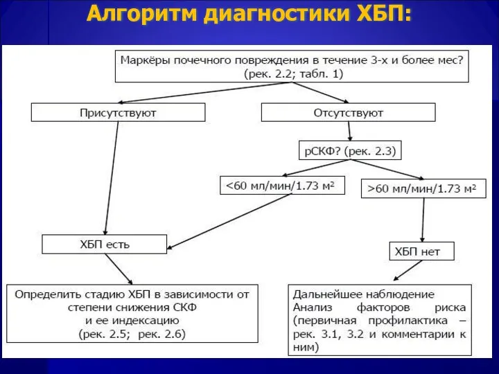 Алгоритм диагностики ХБП: