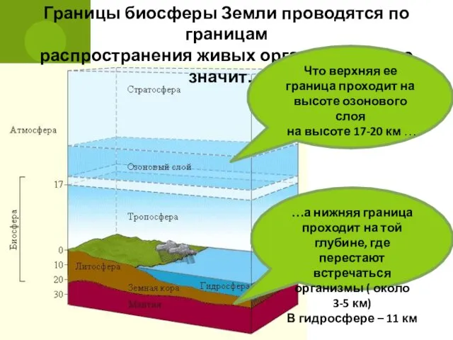 Границы биосферы Земли проводятся по границам распространения живых организмов, а