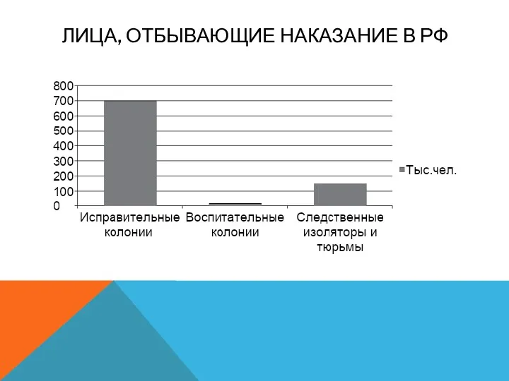 ЛИЦА, ОТБЫВАЮЩИЕ НАКАЗАНИЕ В РФ