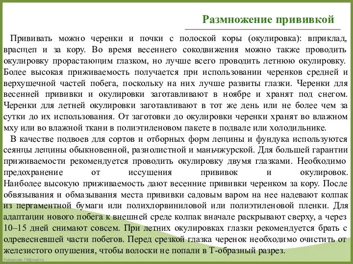 Прививать можно черенки и почки с полоской коры (окулировка): вприклад,