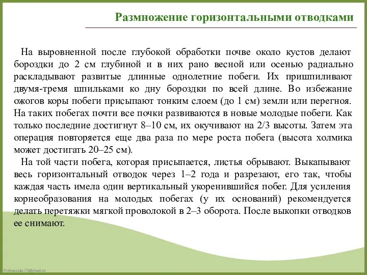 На выровненной после глубокой обработки почве около кустов делают бороздки