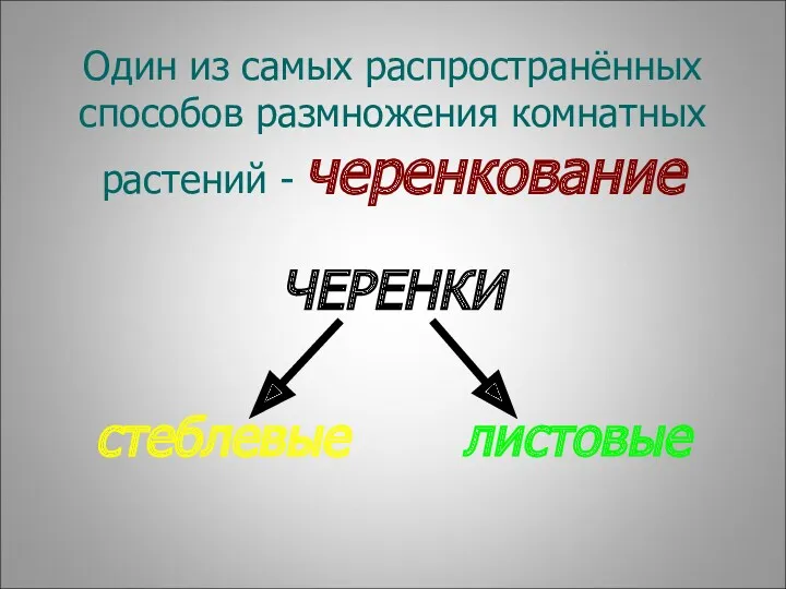 Один из самых распространённых способов размножения комнатных растений - черенкование ЧЕРЕНКИ стеблевые листовые