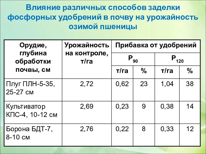 Влияние различных способов заделки фосфорных удобрений в почву на урожайность озимой пшеницы