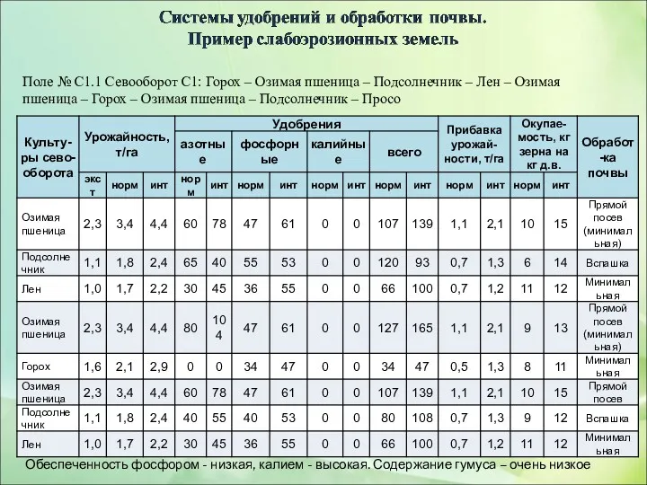 Поле № С1.1 Севооборот С1: Горох – Озимая пшеница –