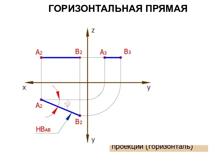 ГОРИЗОНТАЛЬНАЯ ПРЯМАЯ АВ параллельна горизонтальной плоскости проекций (горизонталь) Z = const