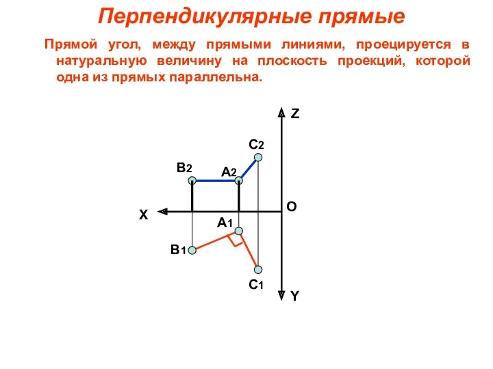 Перпендикулярные прямые Прямой угол, между прямыми линиями, проецируется в натуральную