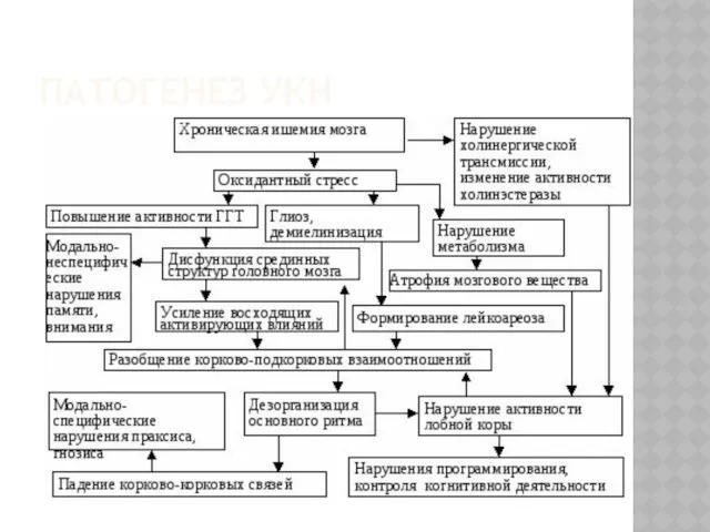 ПАТОГЕНЕЗ УКН