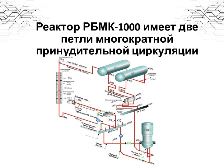 Реактор РБМК-1000 имеет две петли многократной принудительной циркуляции
