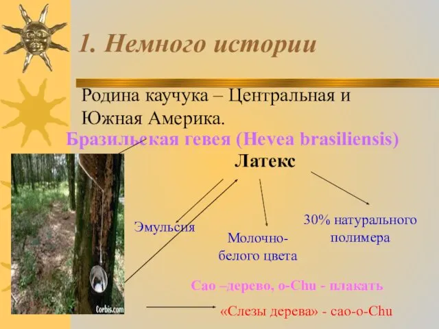 1. Немного истории Родина каучука – Центральная и Южная Америка.