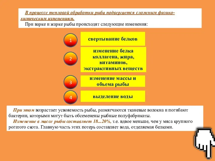 В процессе тепловой обработки рыба подвергается сложным физико-химическим изменениям. При