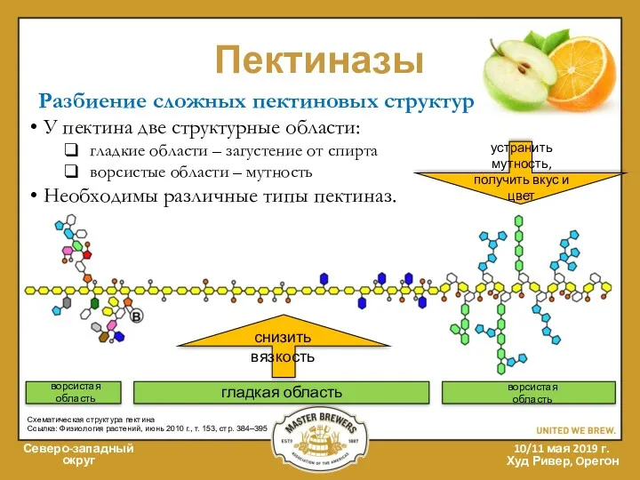 Пектиназы Северо-западный округ 10/11 мая 2019 г. Худ Ривер, Oрегон