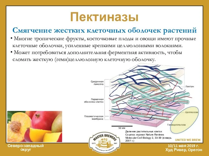 Пектиназы Северо-западный округ 10/11 мая 2019 г. Худ Ривер, Oрегон