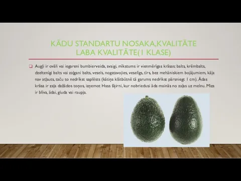 KĀDU STANDARTU NOSAKA,KVALITĀTE LABA KVALITĀTE(1 KLASE) Augļi ir ovāli vai iegareni bumbierveida, svaigi,