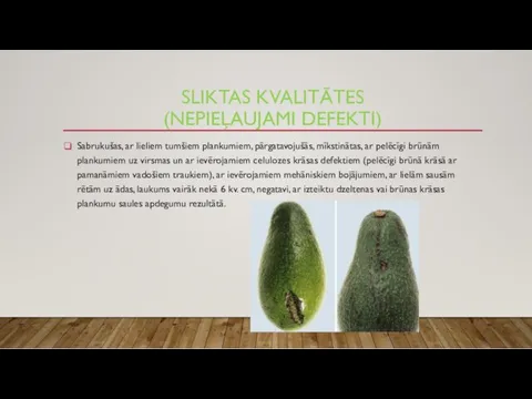 SLIKTAS KVALITĀTES (NEPIEĻAUJAMI DEFEKTI) Sabrukušas, ar lieliem tumšiem plankumiem, pārgatavojušās,