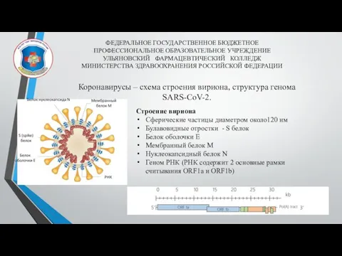 ФЕДЕРАЛЬНОЕ ГОСУДАРСТВЕННОЕ БЮДЖЕТНОЕ ПРОФЕССИОНАЛЬНОЕ ОБРАЗОВАТЕЛЬНОЕ УЧРЕЖДЕНИЕ УЛЬЯНОВСКИЙ ФАРМАЦЕВТИЧЕСКИЙ КОЛЛЕДЖ МИНИСТЕРСТВА