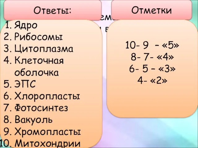 10. Пузырьки из мембраны с многочисленными выростами внутри… Ответы: Ядро