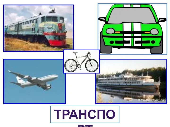 ТРАНСПОРТ