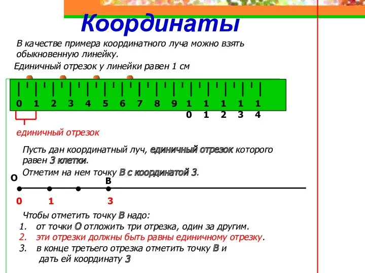 Координаты В качестве примера координатного луча можно взять обыкновенную линейку.