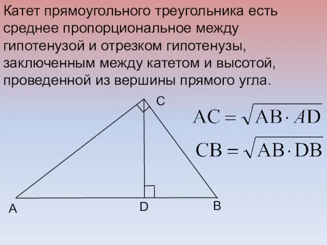 B C A D Катет прямоугольного треугольника есть среднее пропорциональное