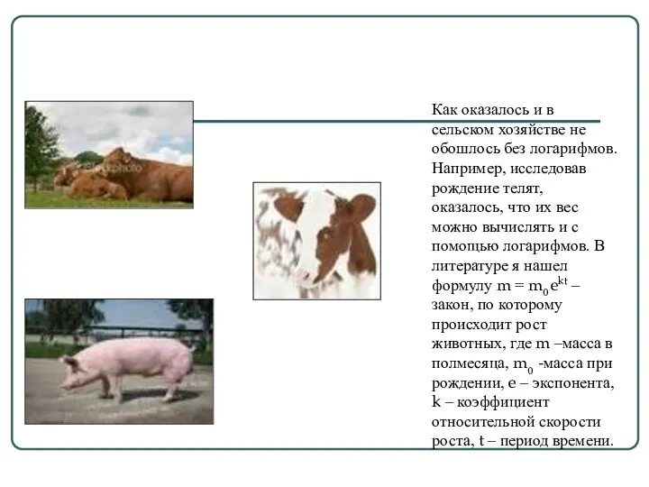 Логарифм в сельском хозяйстве Как оказалось и в сельском хозяйстве не обошлось без