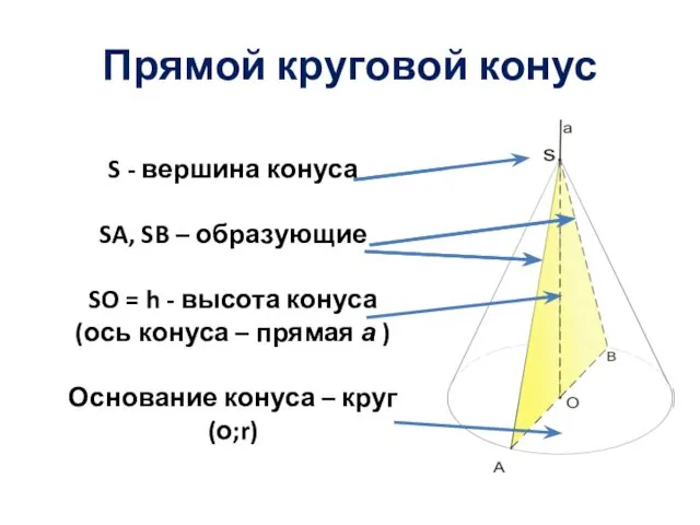 S - вершина конуса SA, SB – образующие SO =