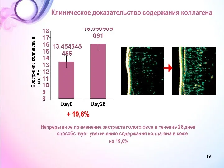 Клиническое доказательство содержания коллагена Непрерывное применение экстракта голого овса в