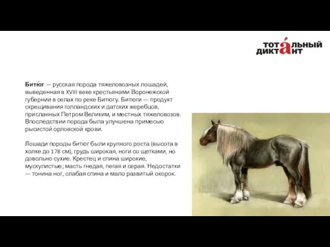 Битю́г — русская порода тяжеловозных лошадей, выведенная в XVIII веке