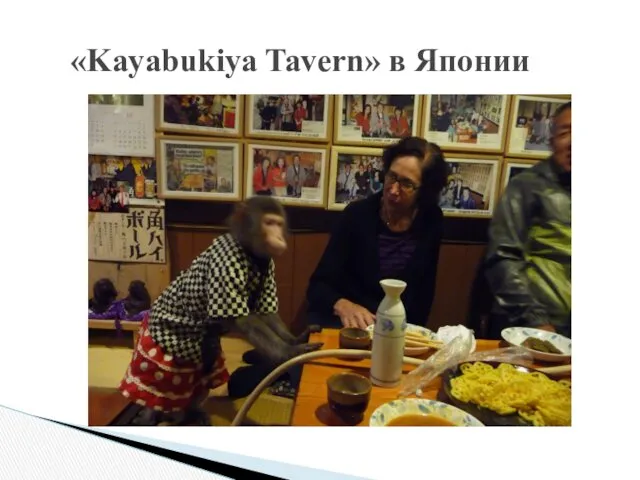 «Kayabukiya Tavern» в Японии