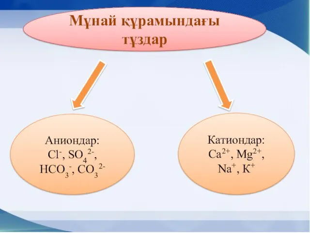 Аниондар: Сl-, SО42-, НСО3-, СО32- Катиондар: Са2+, Мg2+, Na+, К+ Мұнай құрамындағы тұздар