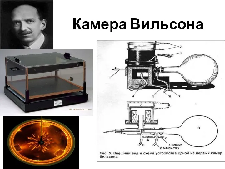 Камера Вильсона