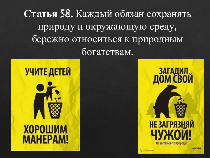 Статья 58. Каждый обязан сохранять природу и окружающую среду, бережно относиться к природным богатствам.