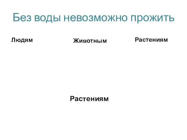 Без воды невозможно прожить Людям Животным Растениям Растениям