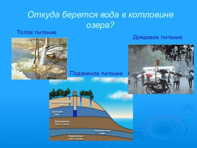 Откуда берется вода в котловине озера? Дождевое питание Талое питание Подземное питание