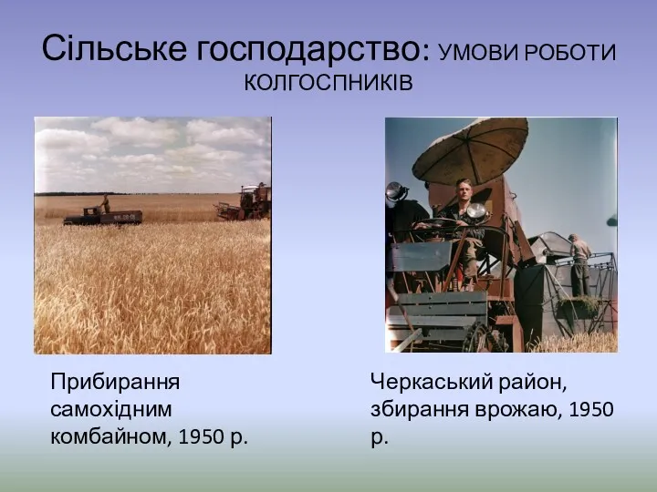 Сільське господарство: УМОВИ РОБОТИ КОЛГОСПНИКІВ Прибирання самохідним комбайном, 1950 р. Черкаський район, збирання врожаю, 1950 р.