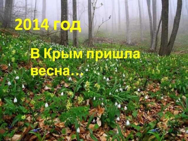 2014 год В Крым пришла весна…